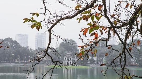 Dự báo thời tiết ngày 25/1/2026: Bắc Bộ sáng sớm có mưa phùn, trời rét