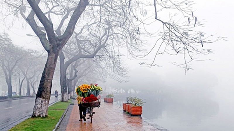 Dự báo thời tiết ngày 26/1/2026: Bắc Bộ có sương mù và mưa phùn rải rác