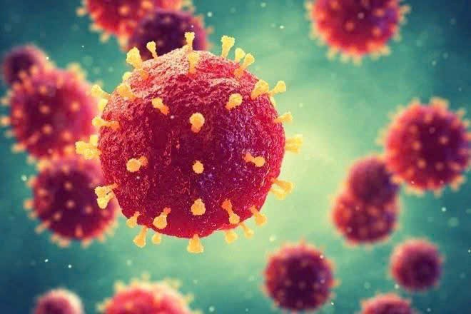 Virus Nipah gây ra nhiều đợt bùng phát đáng lo ngại. Ảnh nguồn internet