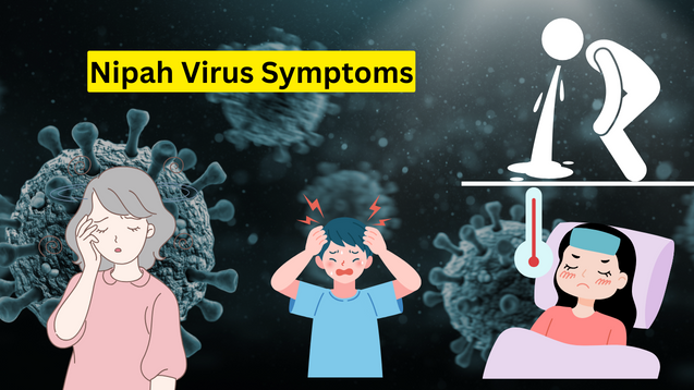 Virus Nipah là gì, mức độ nguy hiểm ra sao?