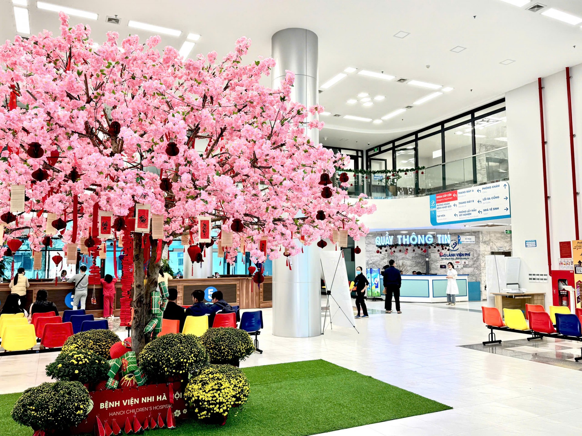 Từ bệnh án điện tử đến AI hỗ trợ điều trị: Hành trình chuyển đổi số tại Bệnh viện Nhi Hà Nội