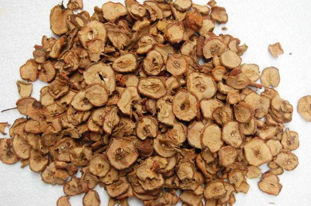 Sơn tra - Dược liệu dân dã hỗ trợ tiêu hóa và khí huyết