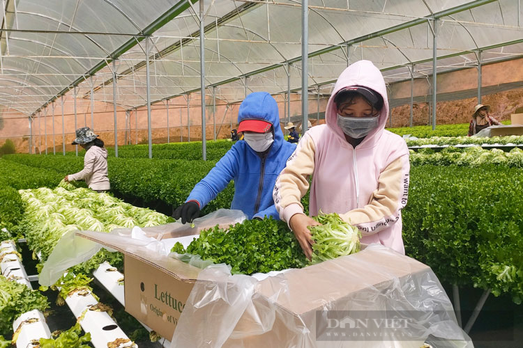 Chế biến, bảo quản nông sản – nền tảng cho hệ sinh thái thực phẩm an toàn Chế biến, bảo quản nông sản – nền tảng cho hệ sinh thái thực phẩm an toàn