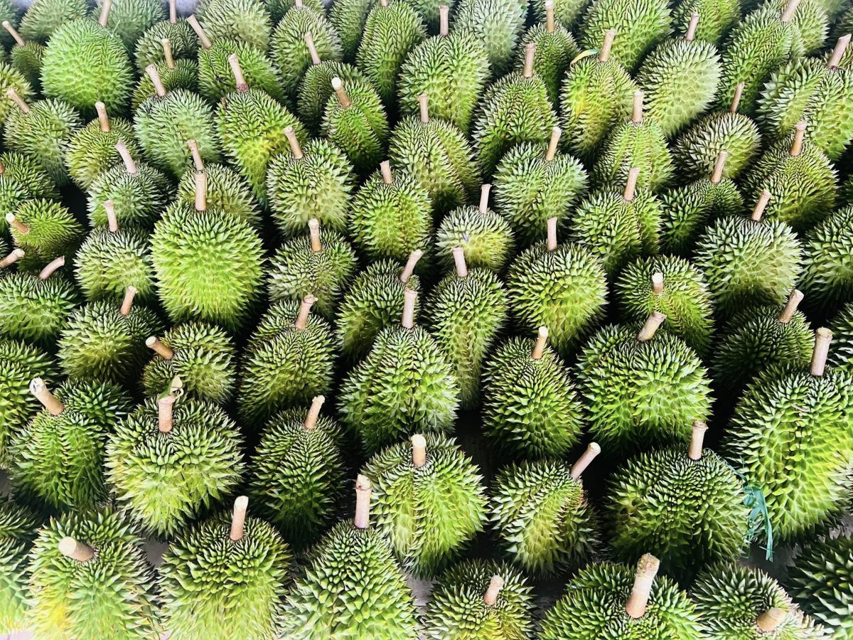 Các phương pháp bảo quản nông sản - Foodmap