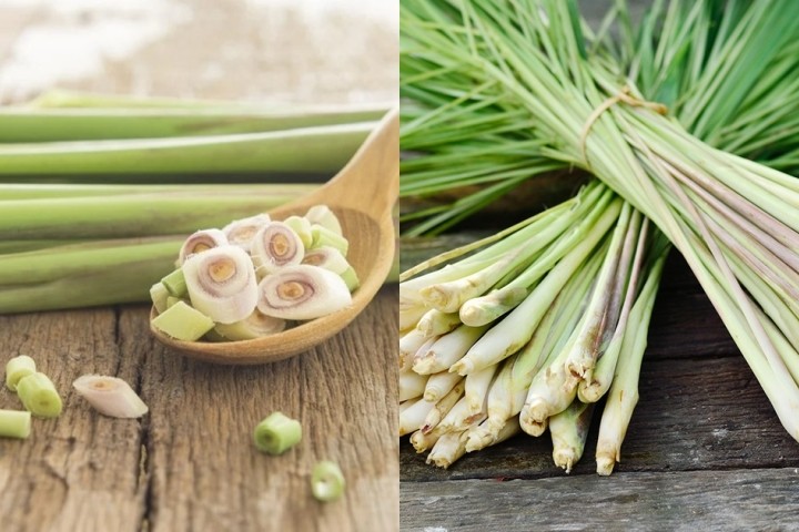 Gừng - nghệ - sả: "Bộ ba thảo mộc" phòng bệnh khi thời tiết giao mùa