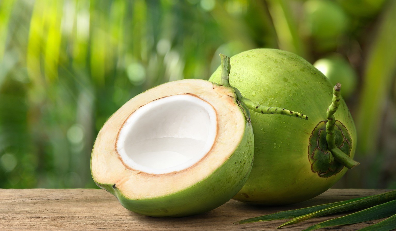 Bài thuốc chữa bệnh từ quả dừa