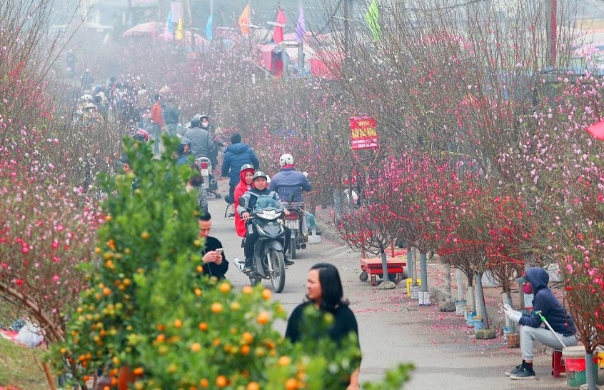 Dự báo thời tiết ngày 11/2/2026: Miền Bắc có mưa nhỏ rải rác