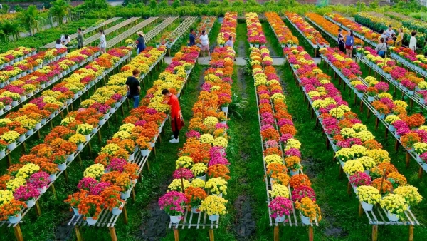 Dự báo thời tiết ngày 20/2/2026: Vùng núi Bắc Bộ có mưa nhỏ rải rác