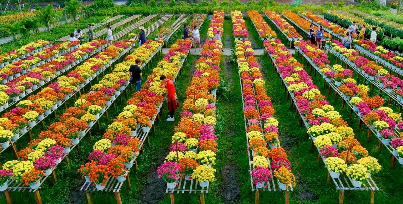 Thời tiết ngày 20/2/2026: Hà Nội sương mù, mưa