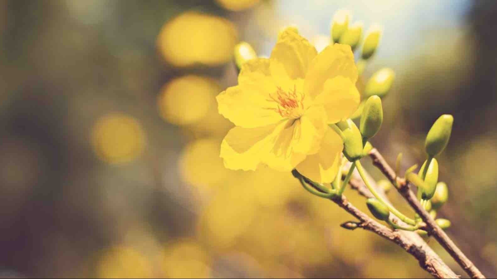 Dự báo thời tiết ngày 22/2/2026: Bắc Bộ sáng sớm có sương mù nhẹ rải rác