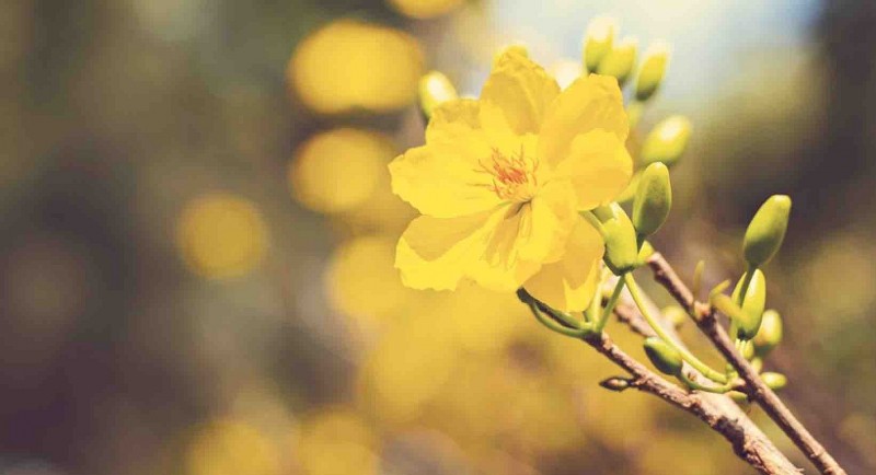 Dự báo thời tiết đêm nay và ngày mai 22/2: Hà Nội và các khu vực trên cả nước Dự báo thời tiết đêm nay và ngày mai 22/2: Hà Nội và các khu vực trên cả nước