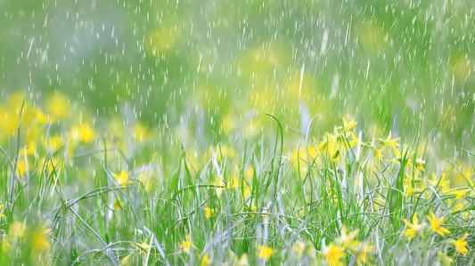 Dự báo thời tiết ngày 24/2/2026: Bắc Bộ có sương mù và mưa nhỏ rải rác