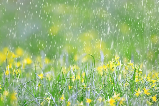 Dự báo thời tiết đêm nay và ngày mai 24/2: Hà Nội và các khu vực trên cả nước