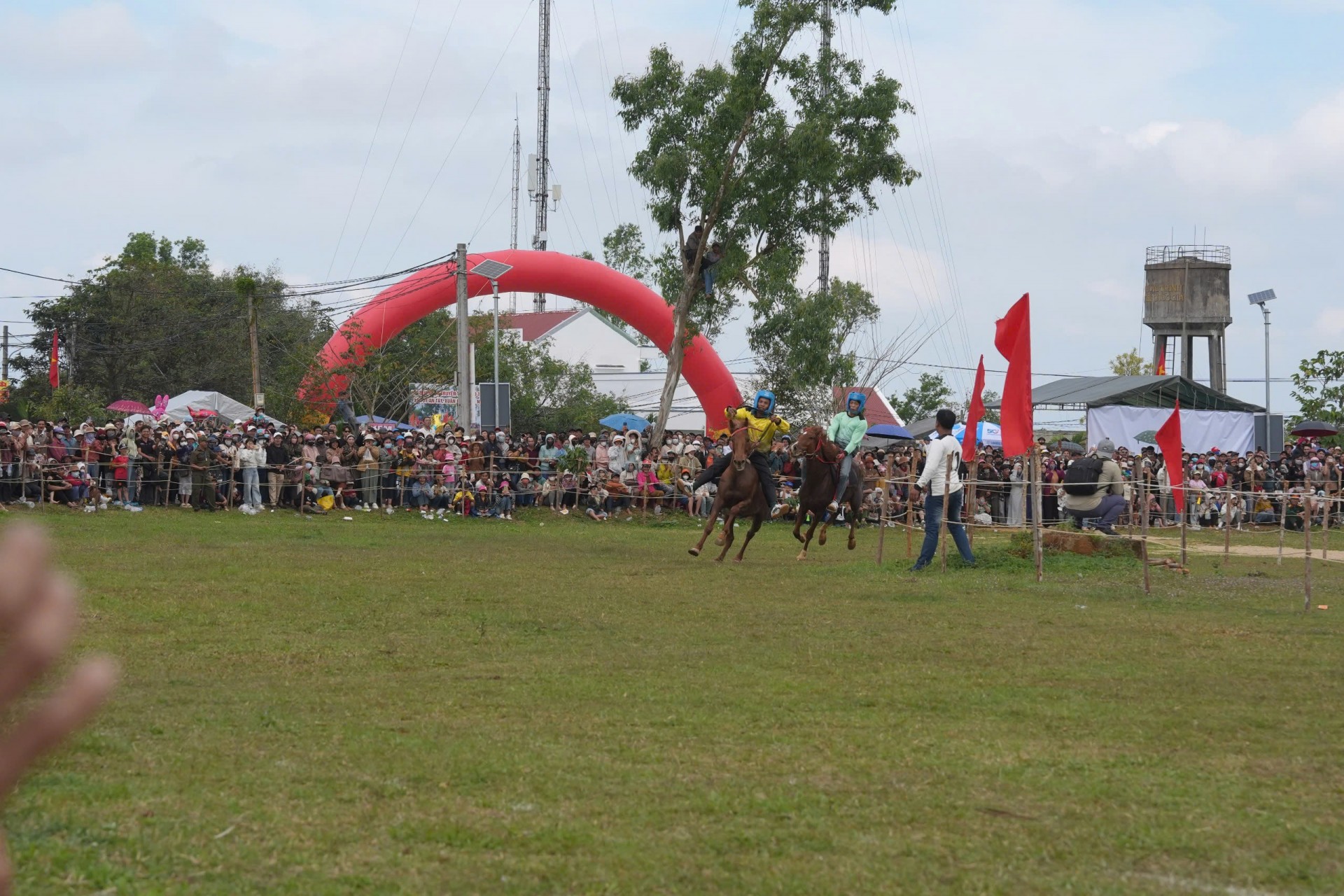 Đắk Lắk: Sôi động Hội đua ngựa truyền thống Gò Thì Thùng Đắk Lắk: Sôi động Hội đua ngựa truyền thống Gò Thì Thùng