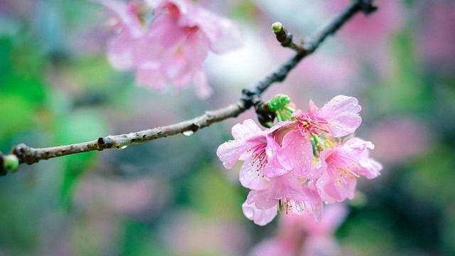 Dự báo thời tiết ngày 26/2/2026: Bắc Bộ có mưa, đêm và sáng trời lạnh