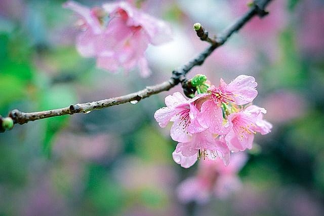 Dự báo thời tiết đêm nay và ngày mai 26/2: Hà Nội và các khu vực trên cả nước