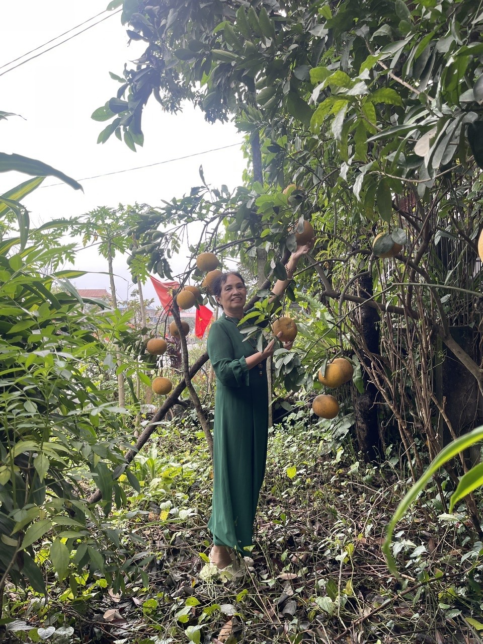 Chi hội Nam y Thái Nguyên gặp mặt đầu Xuân Bính Ngọ, lan tỏa tinh thần y đức và phát huy giá trị thuốc Nam