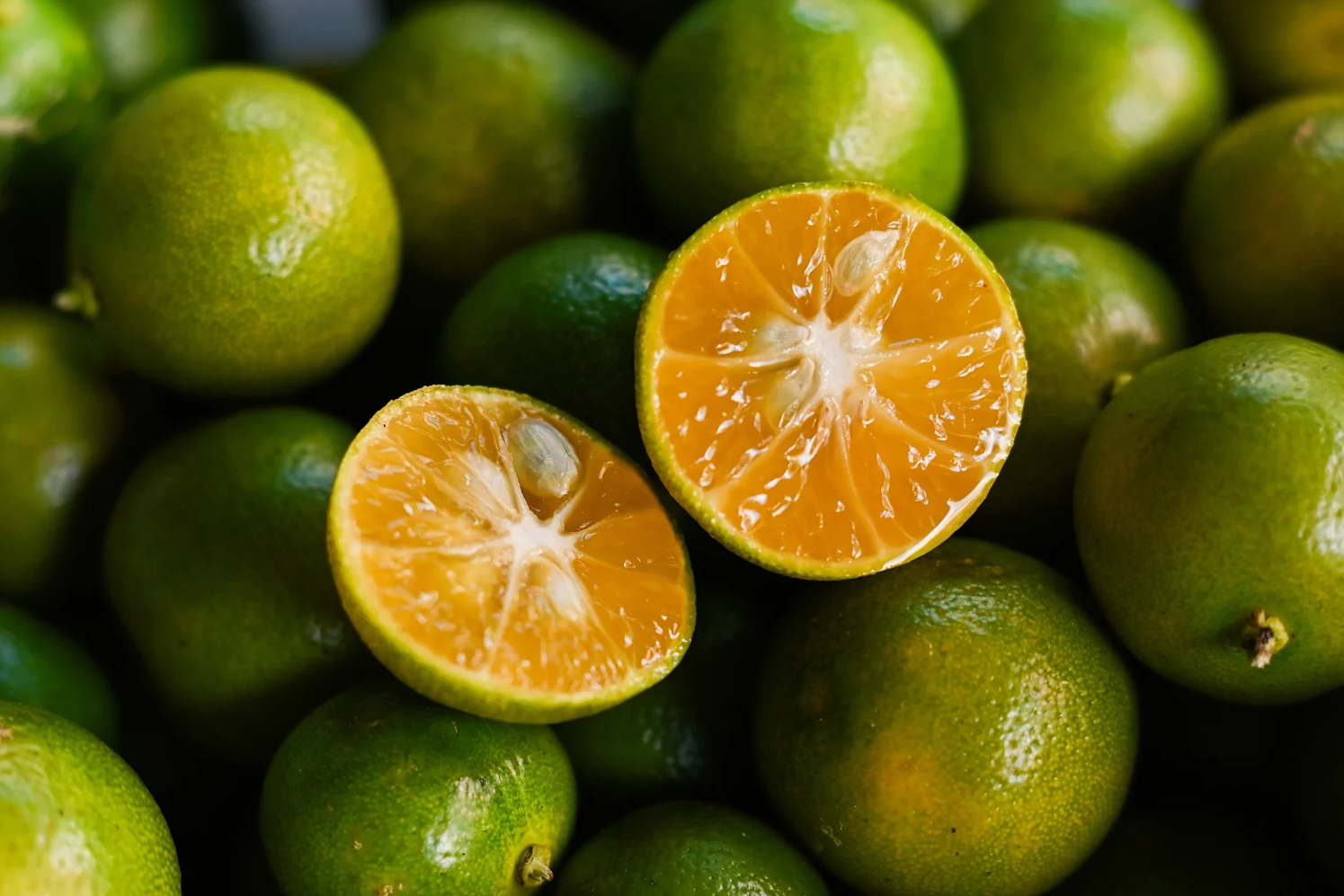 [E-Magazine] Cây quất - “Món quà sức khỏe” từ thiên nhiên