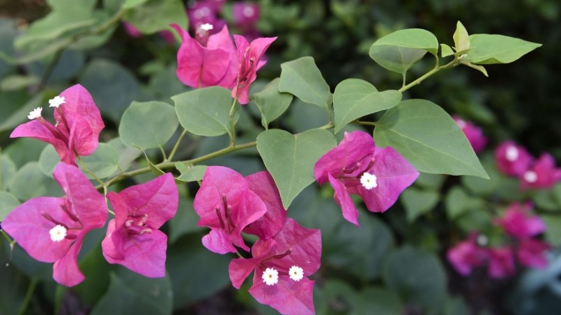 Dự báo thời tiết ngày 2/3/2026: Miền Bắc sáng sớm nhiều mây, trưa chiều nắng nhẹ