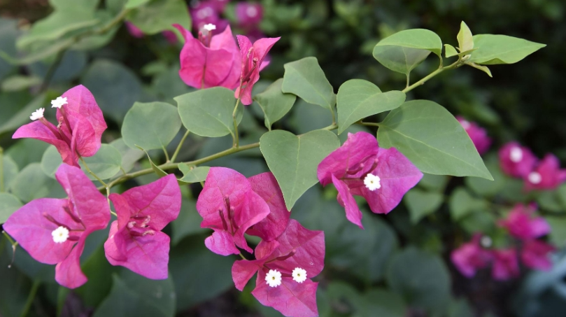 Dự báo thời tiết đêm nay và ngày mai 2/3: Hà Nội và các khu vực trên cả nước Dự báo thời tiết đêm nay và ngày mai 2/3: Hà Nội và các khu vực trên cả nước