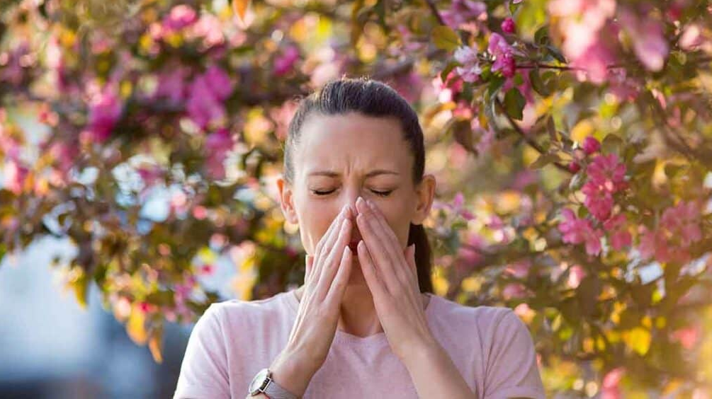 Tác hại của phấn hoa đối với sức khỏe - Mối nguy “vô hình” vào mùa xuân Tác hại của phấn hoa đối với sức khỏe - Mối nguy “vô hình” vào mùa xuân