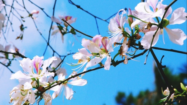 Dự báo thời tiết ngày 4/3/2026: Bắc Bộ sáng có mưa vài nơi, trưa chiều hửng nắng