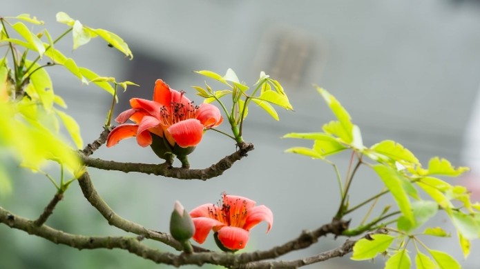 Dự báo thời tiết ngày 7/3/2026: Bắc Bộ sáng sớm có sương mù nhẹ, trưa chiều hửng nắng