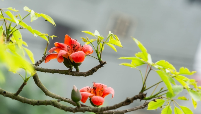 Dự báo thời tiết đêm nay và ngày mai 7/3: Hà Nội và các khu vực trên cả nước