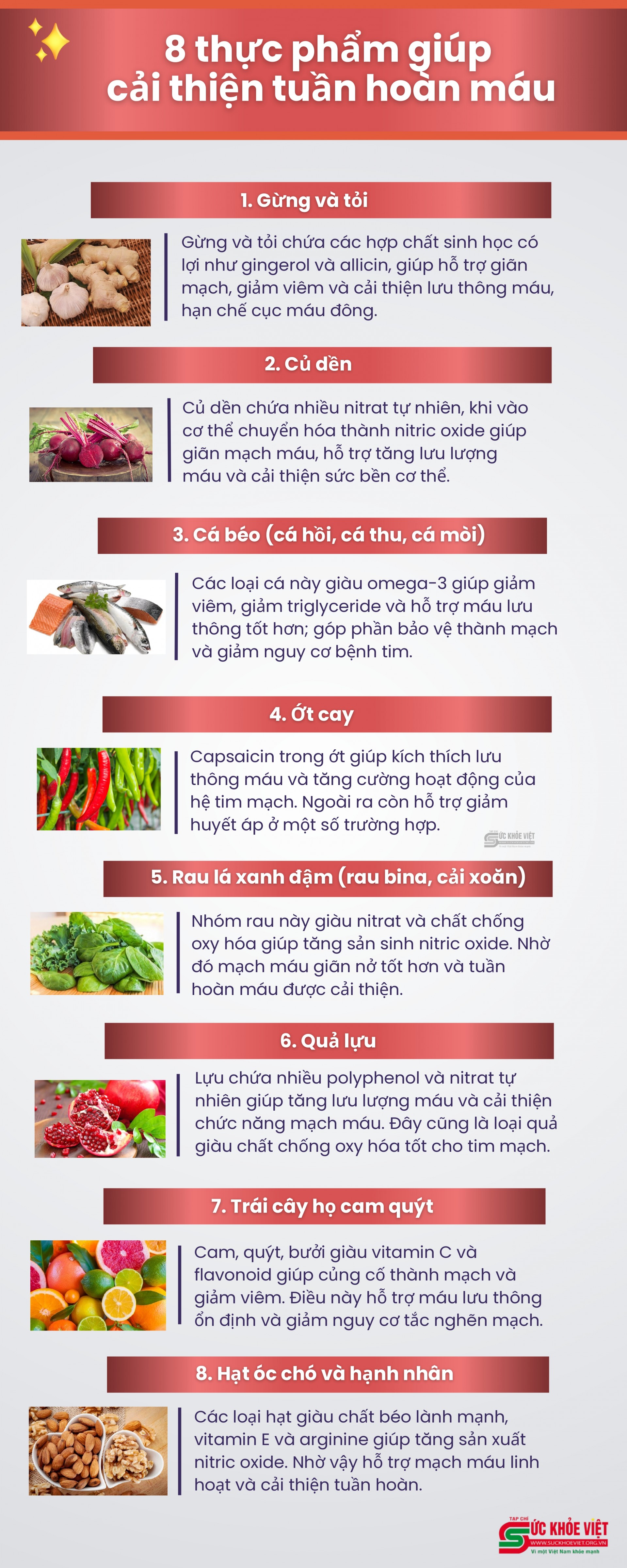 [Infographic] 8 thực phẩm giúp cải thiện tuần hoàn máu