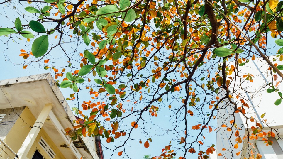 Dự báo thời tiết ngày 10/3/2026: Bắc Bộ có mưa rào và dông, trời chuyển rét