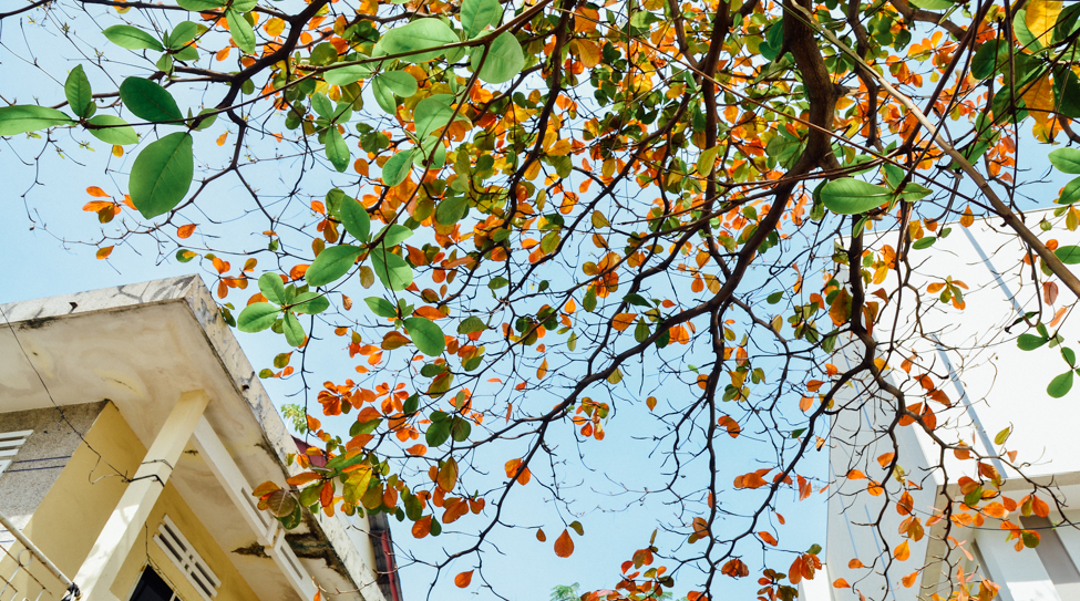 Dự báo thời tiết đêm nay và ngày mai 10/3: Hà Nội và các khu vực trên cả nước