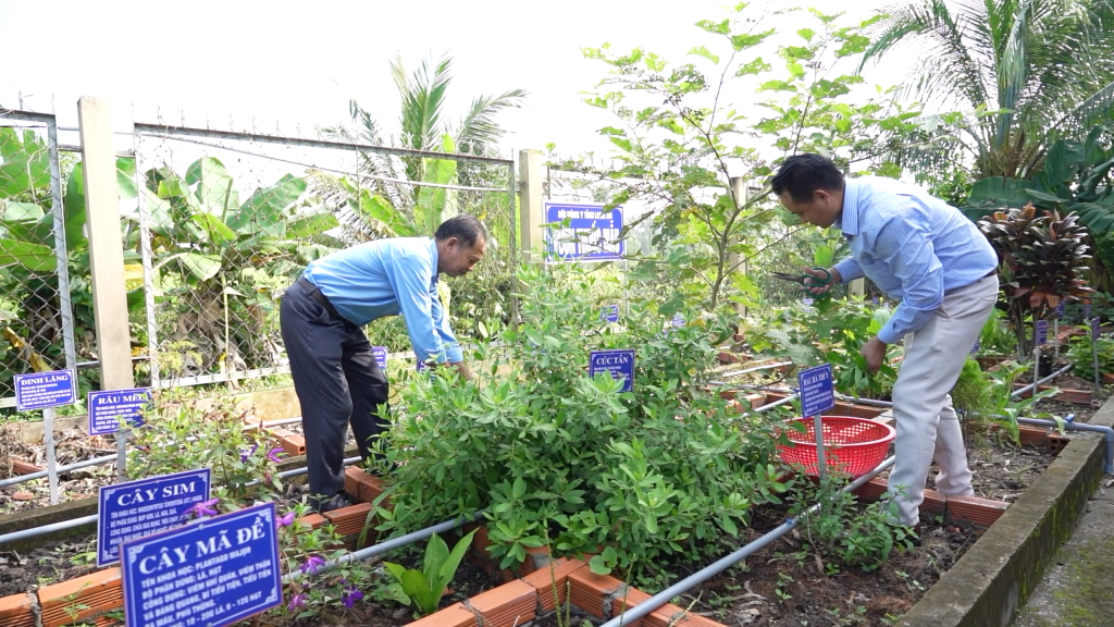 “Nam dược trị Nam nhân”: Triết lý y học vượt thời gian của danh y Tuệ Tĩnh