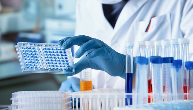 Xây dựng quy định mới về giám sát bệnh truyền nhiễm