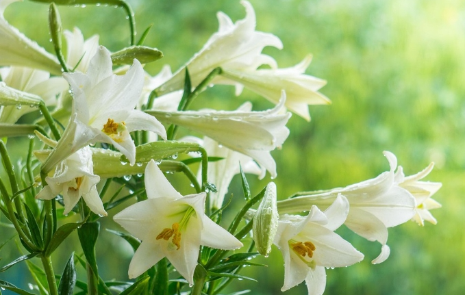 Dự báo thời tiết đêm nay và ngày mai 16/3: Hà Nội và các khu vực trên cả nước