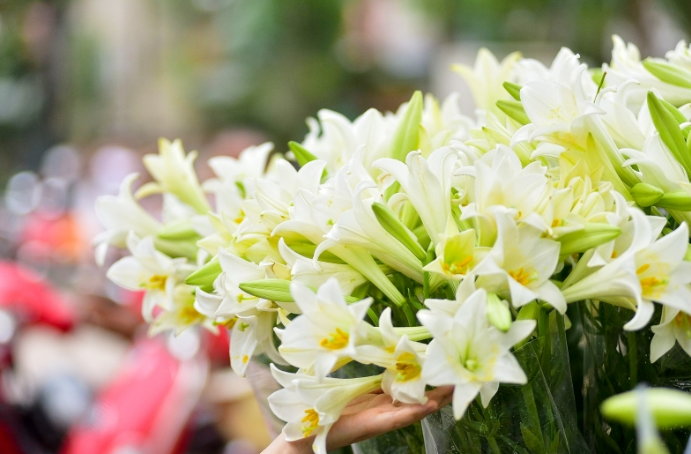 Dự báo thời tiết đêm nay và ngày mai 13/3: Hà Nội và các khu vực trên cả nước