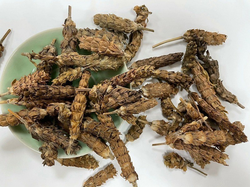 Hạ khô thảo - Dược liệu giúp thanh nhiệt và hỗ trợ huyết áp