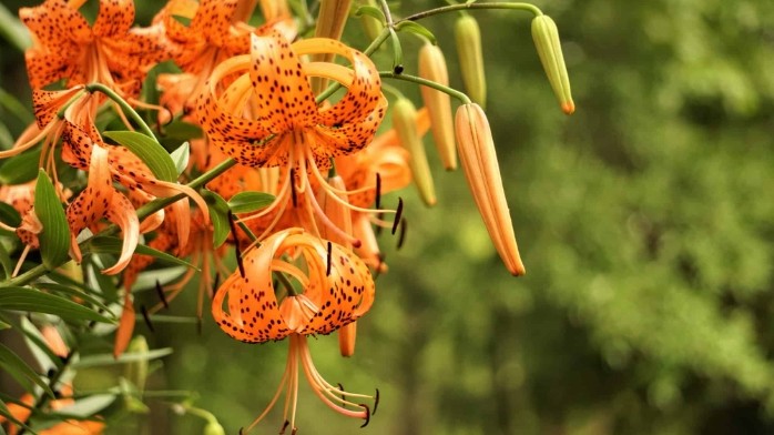 Dự báo thời tiết ngày 19/3/2026: Bắc Bộ có mưa vài nơi, trưa chiều trời nắng