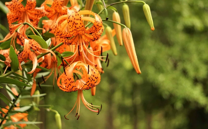 Dự báo thời tiết đêm nay và ngày mai 19/3: Hà Nội và các khu vực trên cả nước