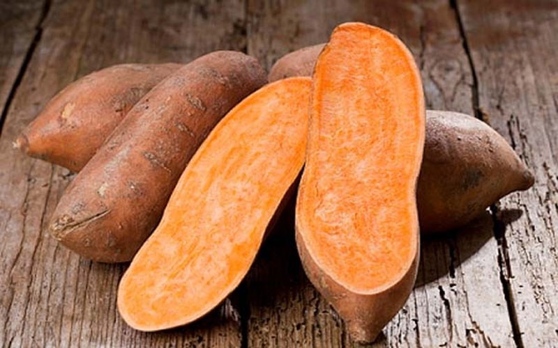 Khoai lang: Từ thực phẩm dân dã đến vị thuốc quý trong y học cổ truyền Khoai lang: Từ thực phẩm dân dã đến vị thuốc quý trong y học cổ truyền