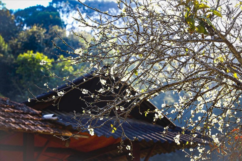 Dự báo thời tiết đêm nay và ngày mai 20/3: Hà Nội và các khu vực trên cả nước