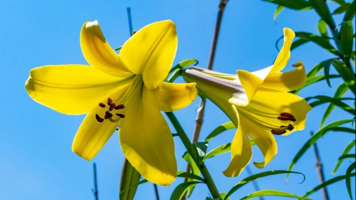 Dự báo thời tiết ngày 21/3/2026: Bắc Bộ nhiều mây, có mưa nhỏ vài nơi