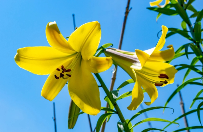 Dự báo thời tiết đêm nay và ngày mai 21/3: Hà Nội và các khu vực trên cả nước Dự báo thời tiết đêm nay và ngày mai 21/3: Hà Nội và các khu vực trên cả nước