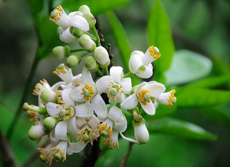 Dự báo thời tiết đêm nay và ngày mai 22/3: Hà Nội và các khu vực trên cả nước Dự báo thời tiết đêm nay và ngày mai 22/3: Hà Nội và các khu vực trên cả nước