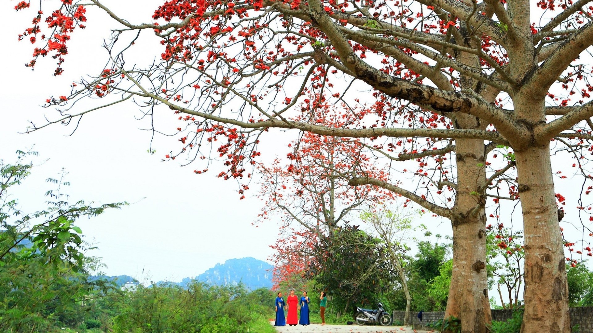 Dự báo thời tiết ngày 23/3/2026: Bắc Bộ sáng sớm có sương mù nhẹ