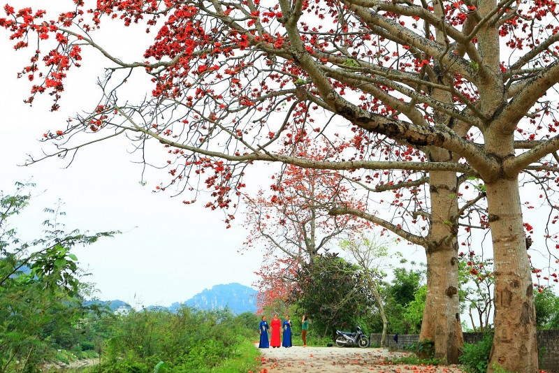 Dự báo thời tiết đêm nay và ngày mai 23/3: Hà Nội và các khu vực trên cả nước Dự báo thời tiết đêm nay và ngày mai 23/3: Hà Nội và các khu vực trên cả nước