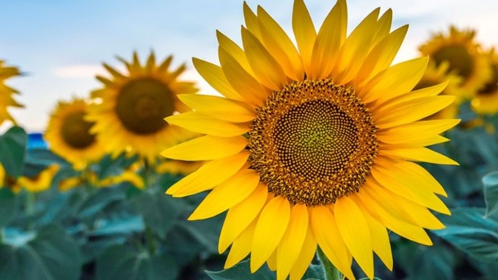 Dự báo thời tiết ngày 28/3/2026: Bắc Bộ nhiều mây, có mưa rải rác