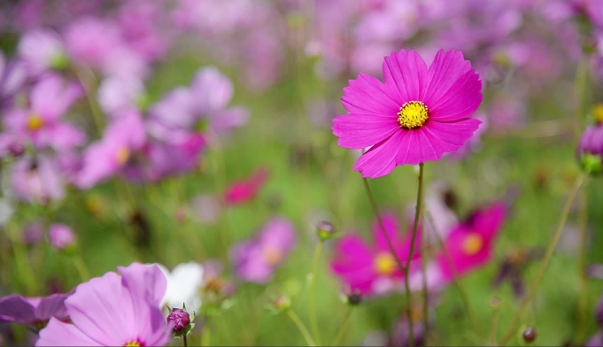 Dự báo thời tiết đêm nay và ngày mai 26/3: Hà Nội và các khu vực trên cả nước Dự báo thời tiết đêm nay và ngày mai 26/3: Hà Nội và các khu vực trên cả nước