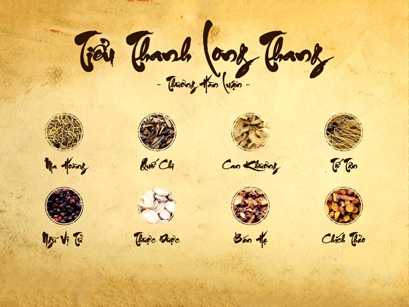 Tiểu thanh long thang: Phương thuốc tân ôn giải biểu tiêu biểu trong điều trị ho đờm do phong hàn