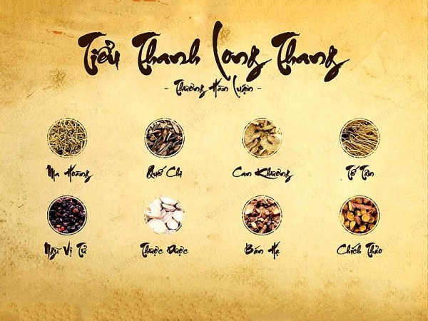 Tiểu thanh long thang: Phương thuốc tân ôn giải biểu tiêu biểu trong điều trị ho đờm do phong hàn