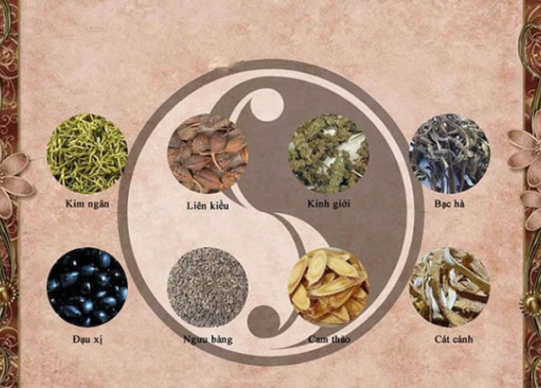 Các phương thuốc tân lương giải biểu tiêu biểu trong y học cổ truyền và ứng dụng thực tiễn